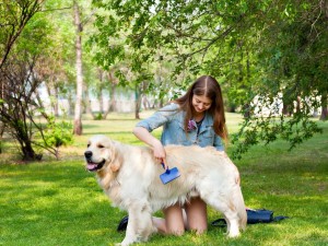 K?pek Nas?l Temizlenir