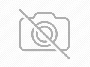 Kedi Bak?m? Nas?l Yap?l?r